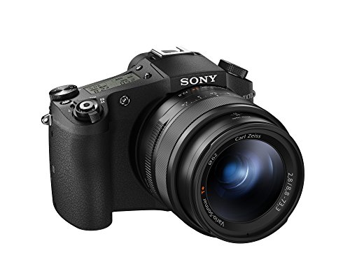 Sony DSC-RX10M II ????? ??? ?????? ????? ?????