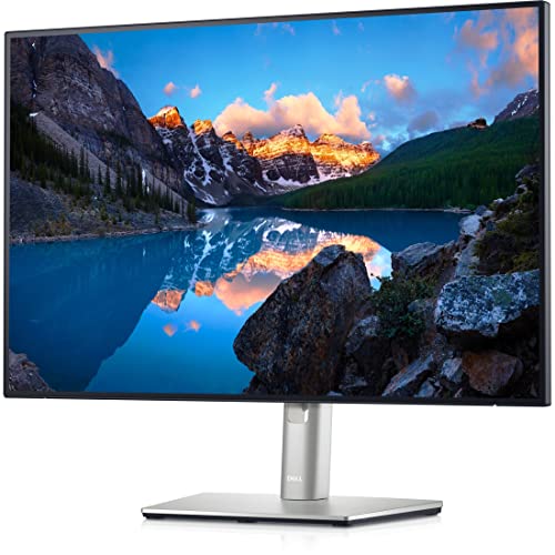 Dell ????? ???? U2421E 23.8' LCD ?????? - 24' ????