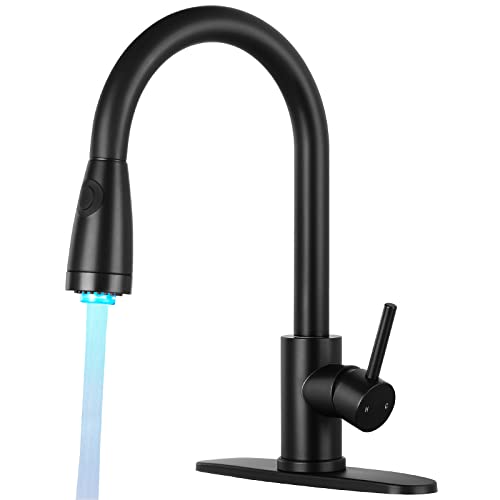 Qomolangma Standard Kitchen Faucet