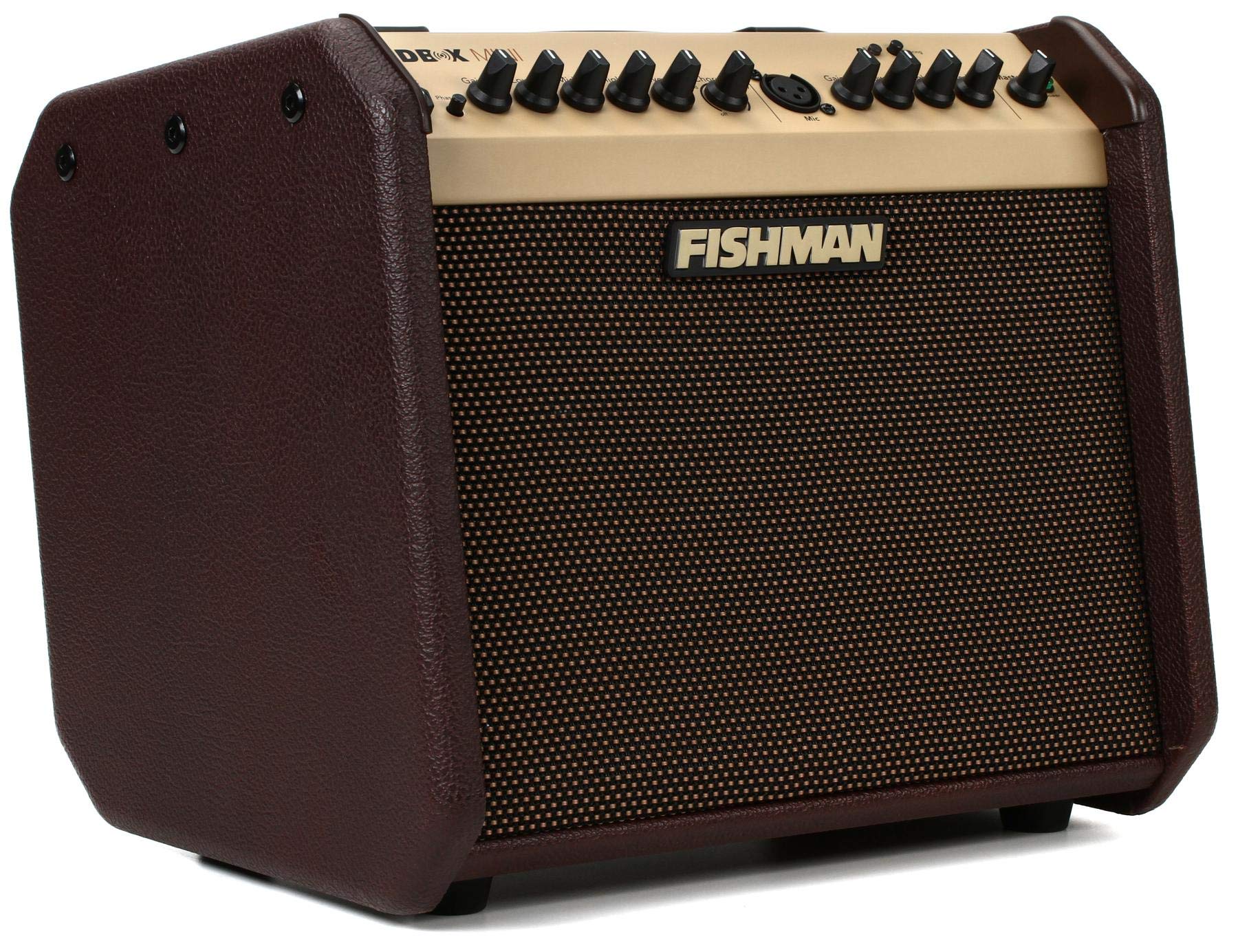 Fishman ???? ???? Mini BT 60-Watt 1x6.5 ??? ??????? ???...