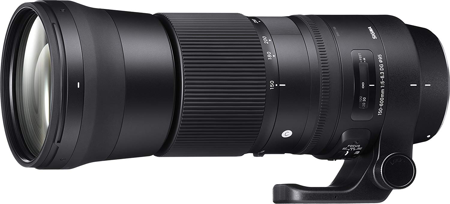 SIGMA ???? ?? ??? 150-600mm 5-6.3 ?? ??? DG OS HSM ????