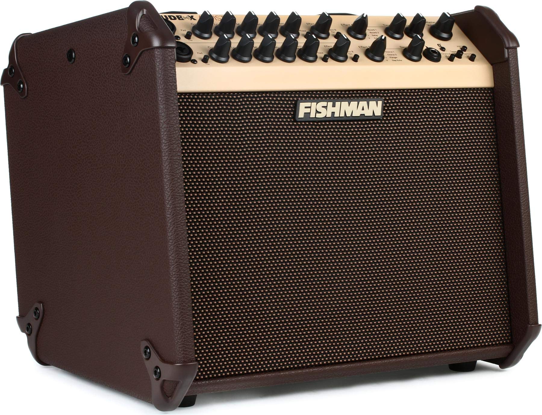 Fishman ???? ???? ????? BT 120-Watt 1x8 ??? ??????? ???...