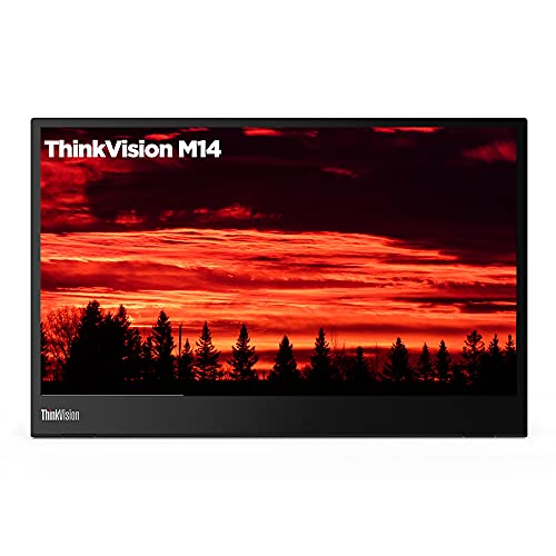 Lenovo ThinkVision M14 14' Full HD 1920x1080 IPS ??????...