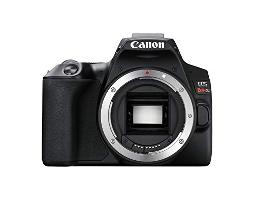 Canon ?????? ????? EOS ???? SL3