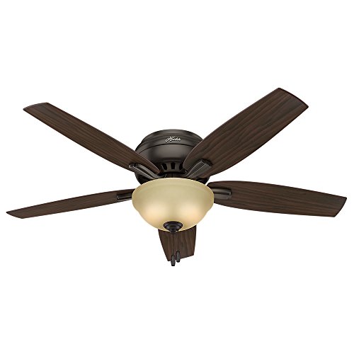 Hunter Fan Company Hunter Newsome Indoor Low Profile Ce...