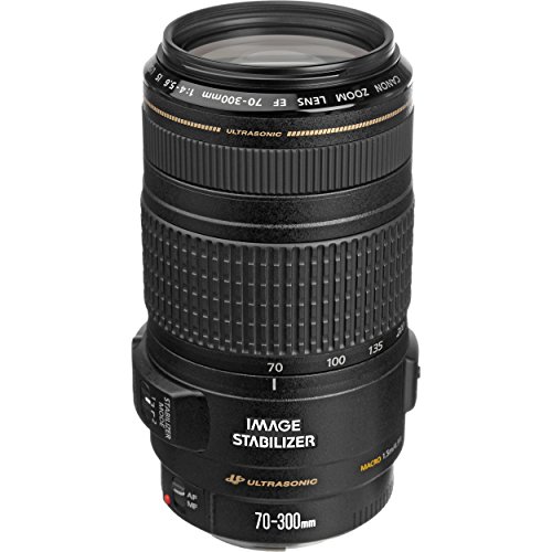 Canon EF 70-300mm f/4-5.6 IS USM ???? EOS SLR ?????? ??...