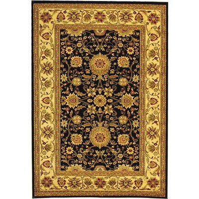 Safavieh Lyndhurst Black/Cream Rug Rug Size: 9' x 12'