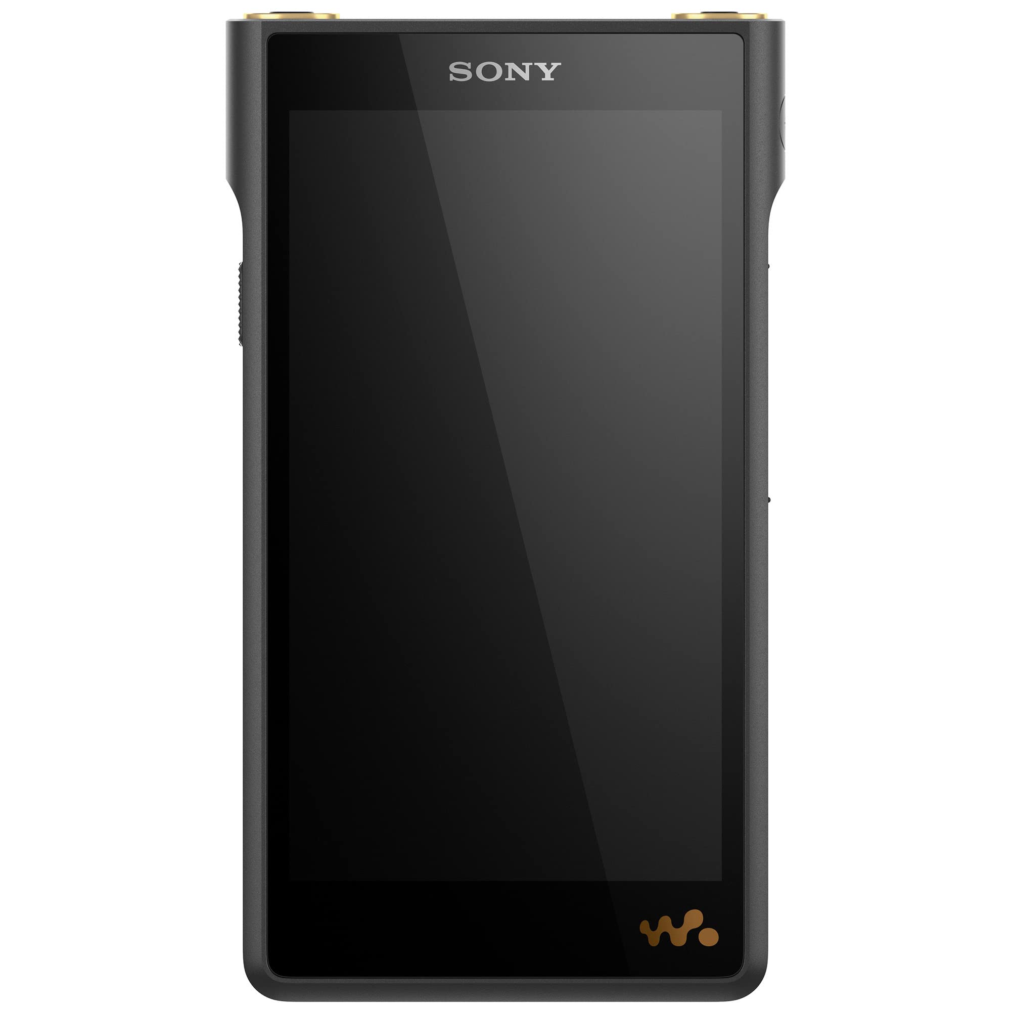 Sony NW-WM1AM2 Hi-Res 128GB ??? ??? ?????? MP3 ????? ??...