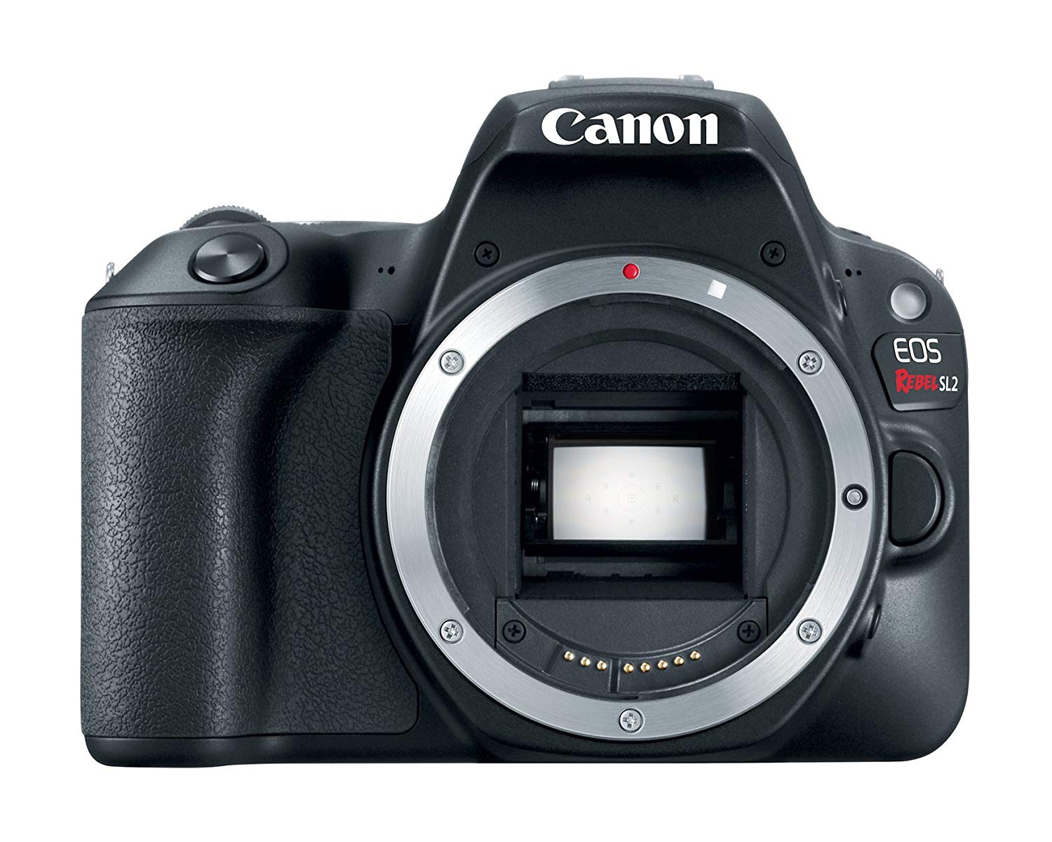 Canon EOS Rebel SL2 ?????? SLR ????? ???? - WiFi ????