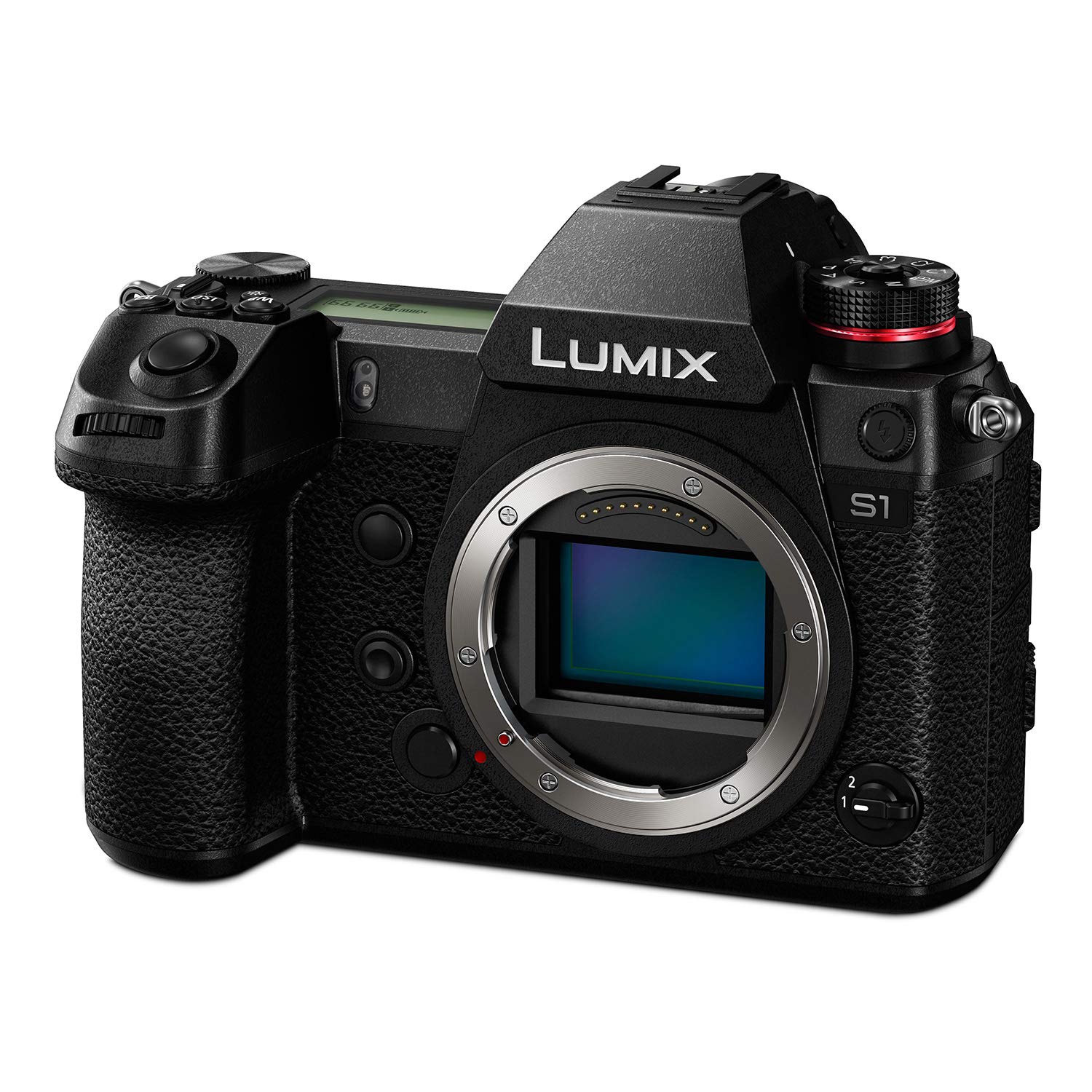 Panasonic LUMIX DC-S1 ??? ??? ?????? ????? ????